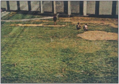 Lawrence Weiner, Staples, Stakes, Twine and Turf, vue de l'installation au Windham College, 1968 (Source Image : G. Stemmrich, show and telling). 
